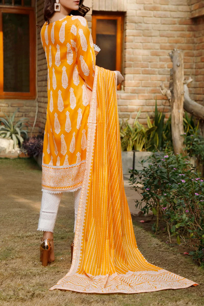 Dhanak winter collection D-1